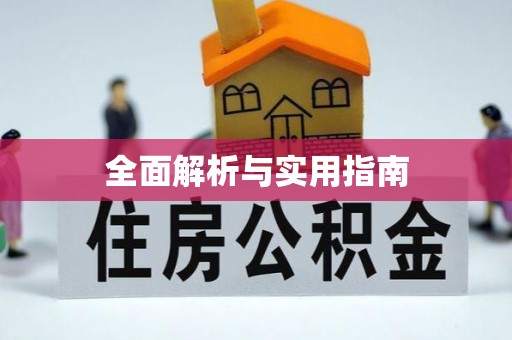 文登全面解析与实用指南