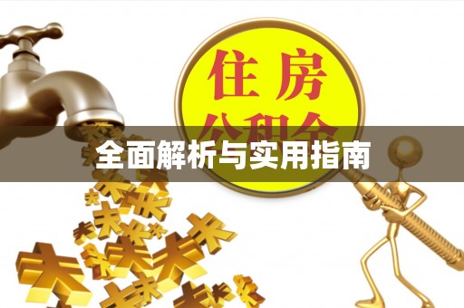文登全面解析与实用指南